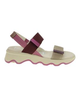 Sanadlai kalifoeniana multicolor con velcros